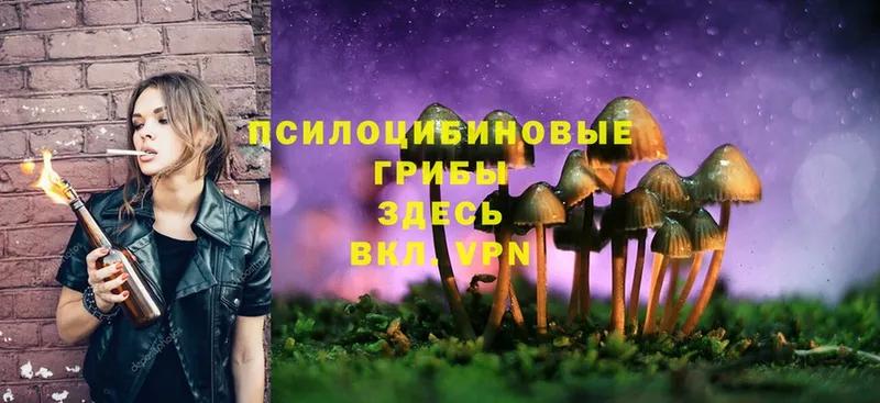 гидра зеркало  купить  сайты  Бийск  Галлюциногенные грибы Magic Shrooms 